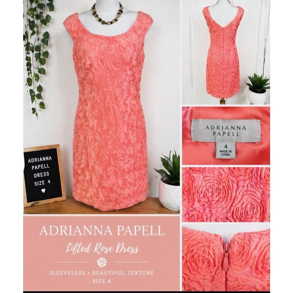 Adrianna Papell Pink Lifted Rose Sleeveless Dress BEAUTIFUL SIZE 4